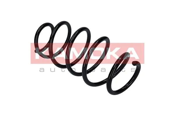 Mola dianteira Ford Fiesta CB1