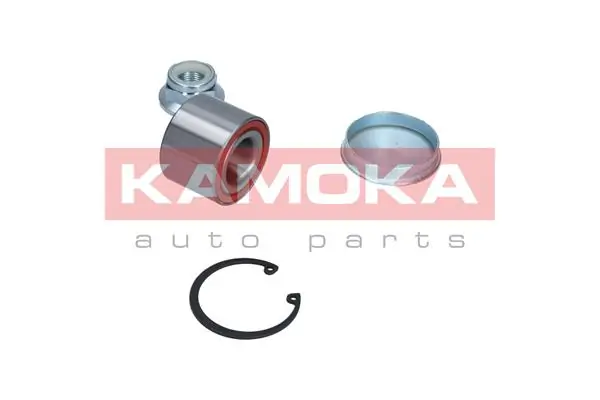 5600011 Kamoka Подшипник ступицы задней