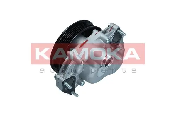 T0291 Kamoka Насос водяной