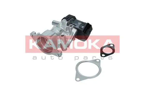 Válvula EGR de recirculação dos gases Peugeot 307 3H