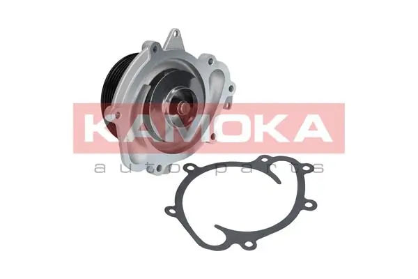 T0073 Kamoka