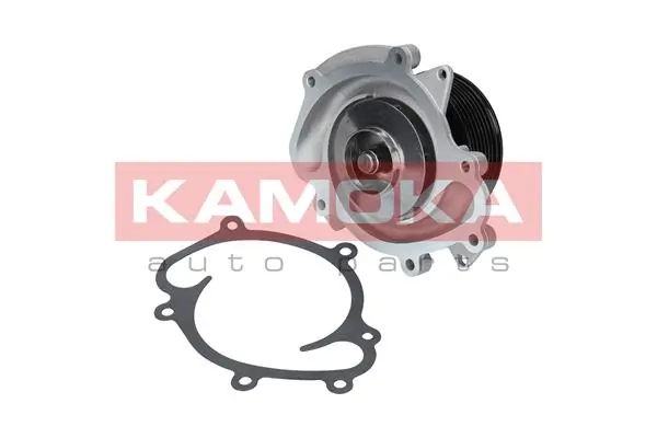 T0073 Kamoka Насос водяной