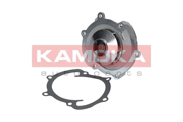 T0008 Kamoka Насос водяной