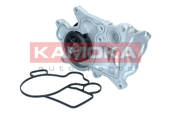 T0301 Kamoka Насос водяной