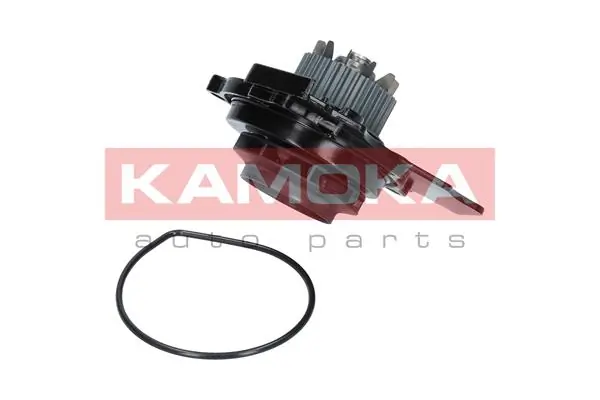 T0031 Kamoka Водяной насос охлаждения, с корпусом