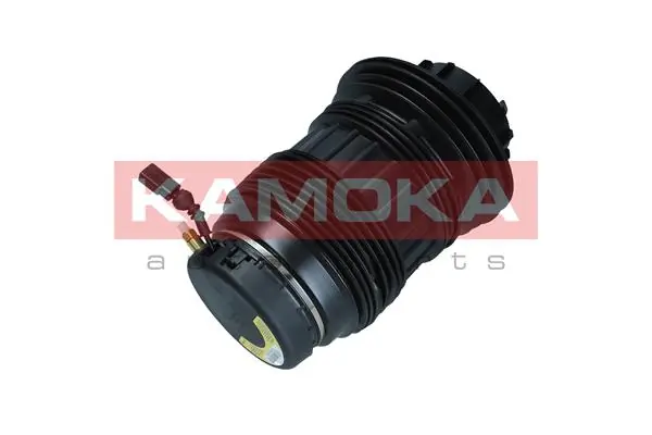 Пневмоподушка/пневморессора моста заднего VAG 97033353334 цена, от 167.05 USD