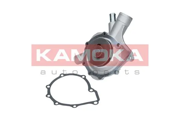 T0197 Kamoka Насос водяной