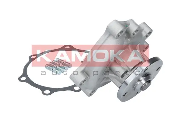 T0169 Kamoka Насос водяной