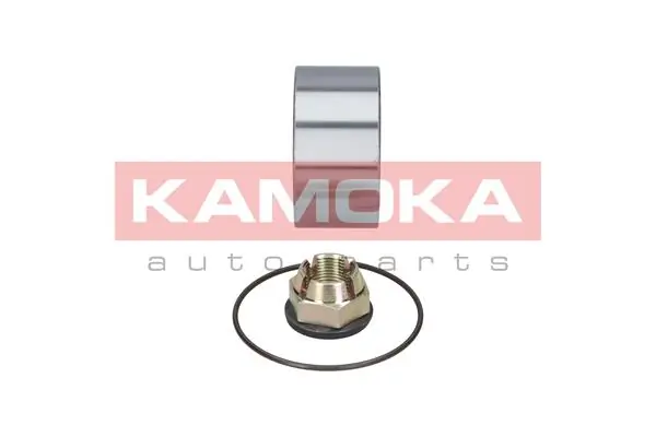 5600006 Kamoka Подшипник ступицы передней