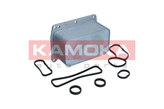7730094 Kamoka