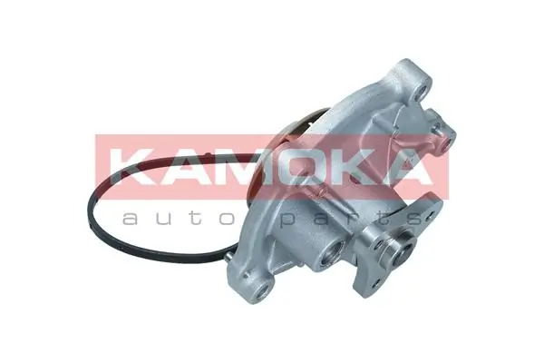 T0050 Kamoka Насос водяной