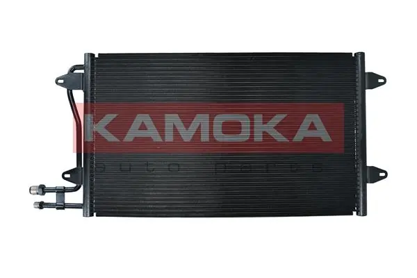 42820020 AND Конденсатор