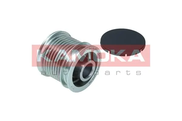 Купить 28689 ZNP Шкив ремня генератора