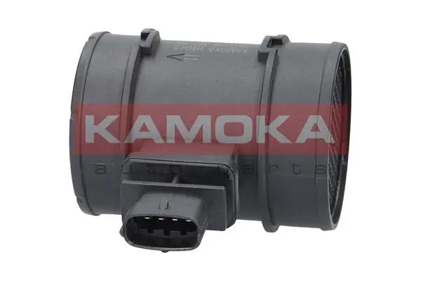 18042 Kamoka