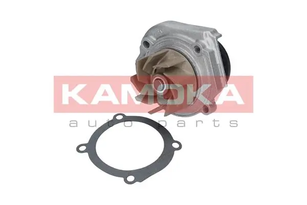 T0013 Kamoka Насос водяной