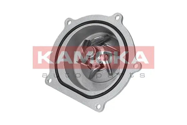 T0145 Kamoka Насос водяной