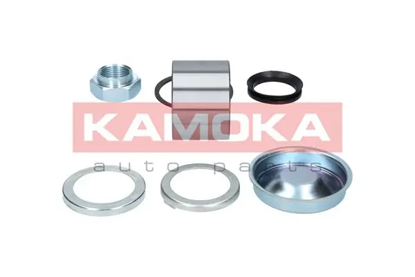 5600069 Kamoka Подшипник ступицы задней
