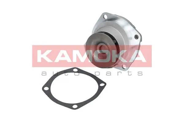RM7010 Goodrem Насос водяной