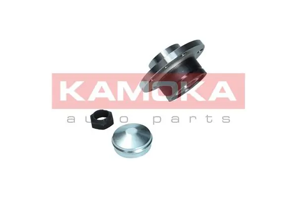 5500169 Kamoka Ступица задняя