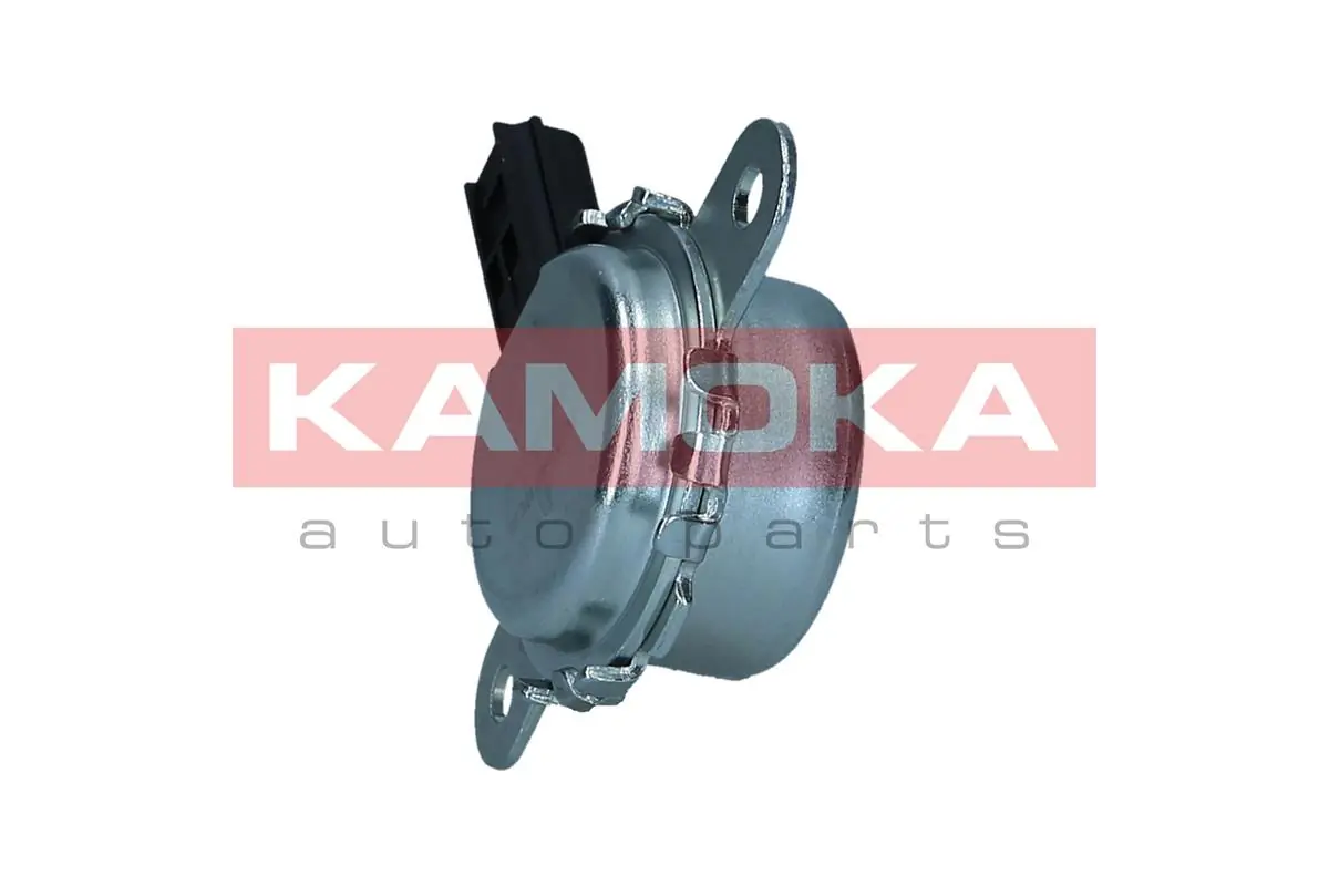  Клапан фазорегулятора Subaru Forester 3