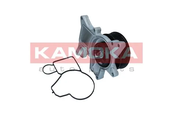 T0298 Kamoka Насос водяной
