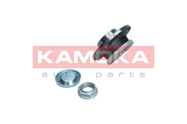 5500043 Kamoka Ступица задняя
