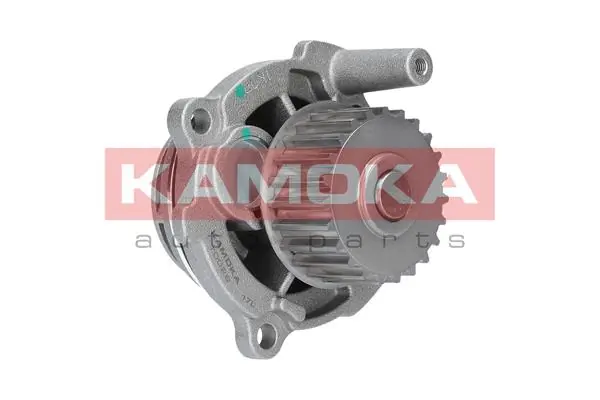 T0029 Kamoka Насос водяной