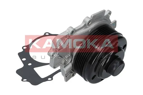 T0203 Kamoka Насос водяной