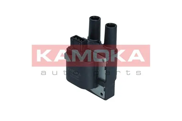  Катушка зажигания Renault Kangoo 1