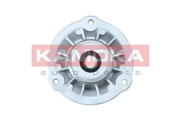 209372 Kamoka 