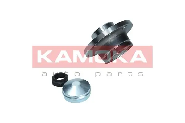 5500233 Kamoka Ступица задняя