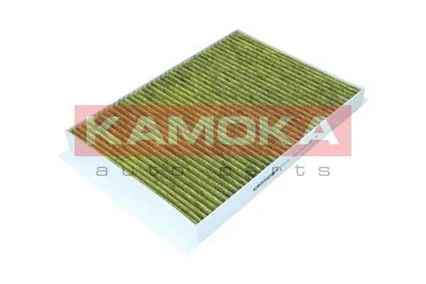 6080106 Kamoka