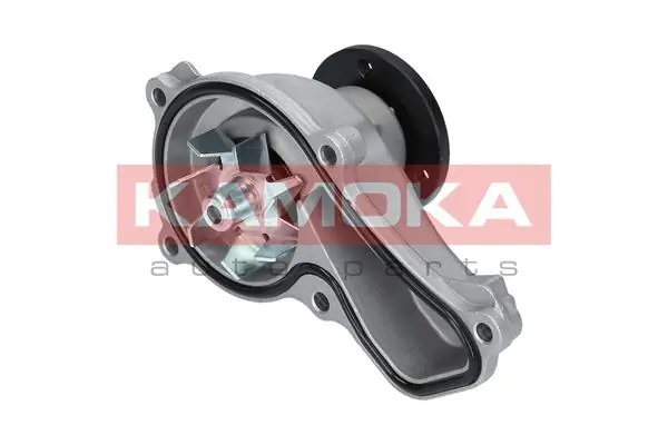 T0151 Kamoka Насос водяной