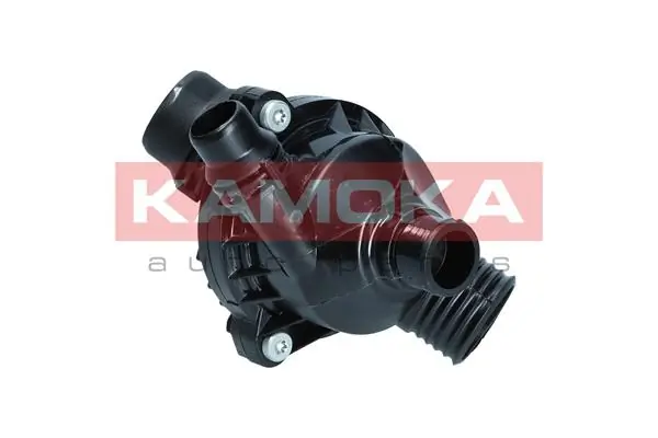 Termostato BMW X3 F25