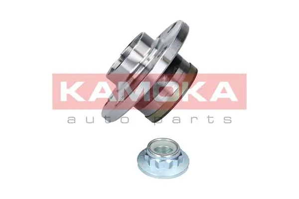 5500023 Kamoka Ступица задняя