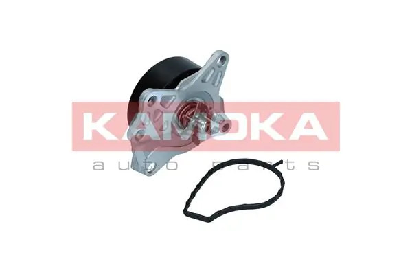 T0088 Kamoka Насос водяной