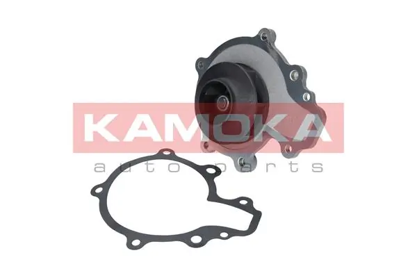 T0068 Kamoka Насос водяной