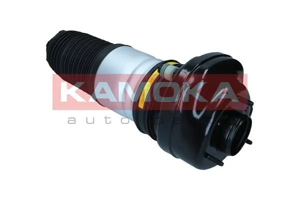 Стойка задняя, левая Kamoka 2079070 цена, от 413.99 USD