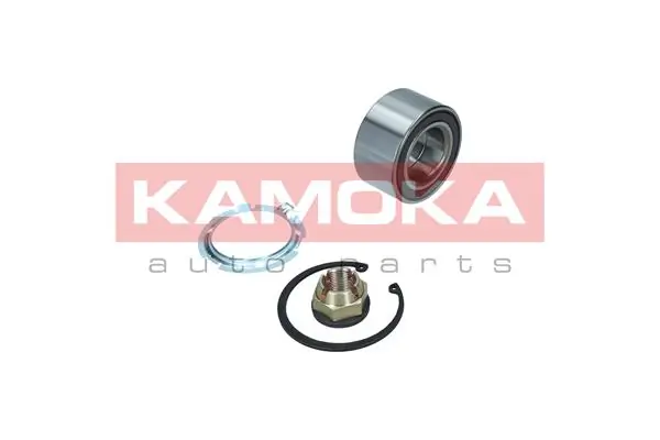 5600098 Kamoka Подшипник ступицы передней