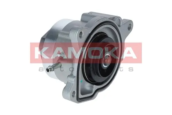 T0019 Kamoka Насос водяной