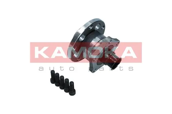 5500071 Kamoka Ступица задняя