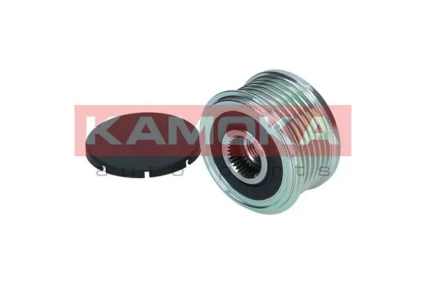 Polia do gerador Peugeot 407 6D