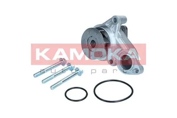 T0322 Kamoka Насос водяной