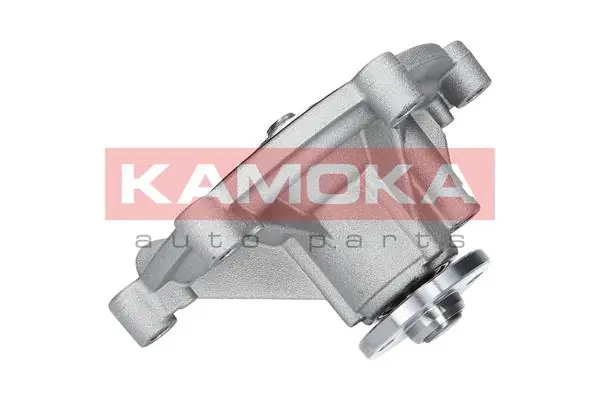 T0194 Kamoka Насос водяной