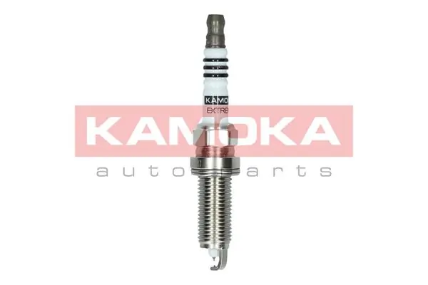 Купить 224015RF1B Renault (RVI) Свечи автомобильные
