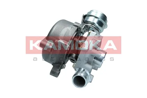 Турбонагнетатель Borg-Warner 53039880193 цена, от 275.19 USD