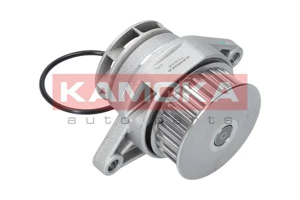 Помпа водяная, (насос) охлаждения, в сборе с корпусом Kamoka T0249 цена, от 22.77 USD