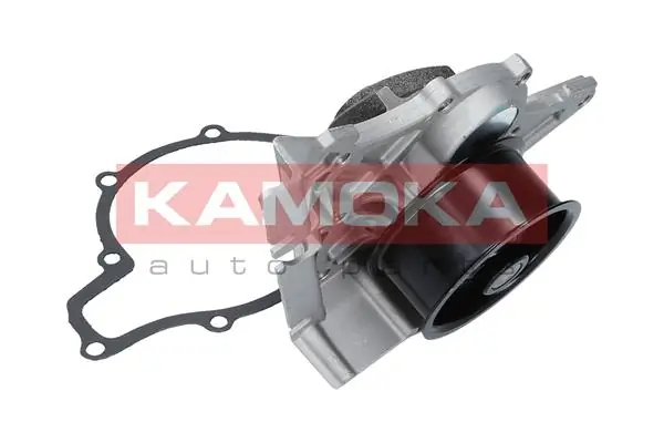 T0039 Kamoka Насос водяной