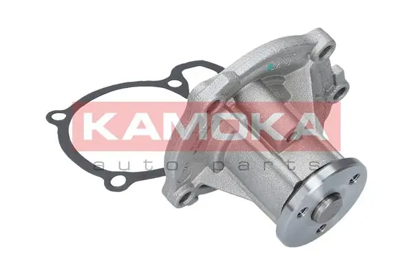 T0218 Kamoka Насос водяной