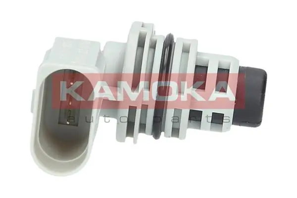 108004 Kamoka